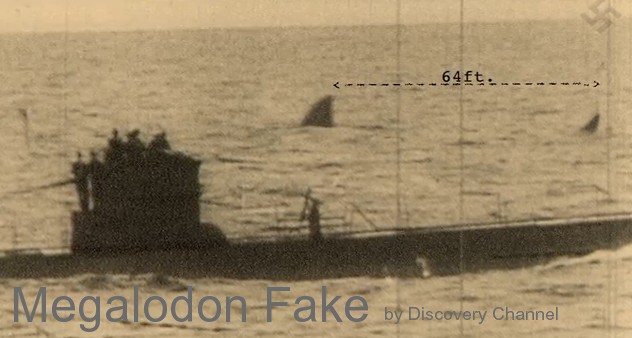 Megalodon fake